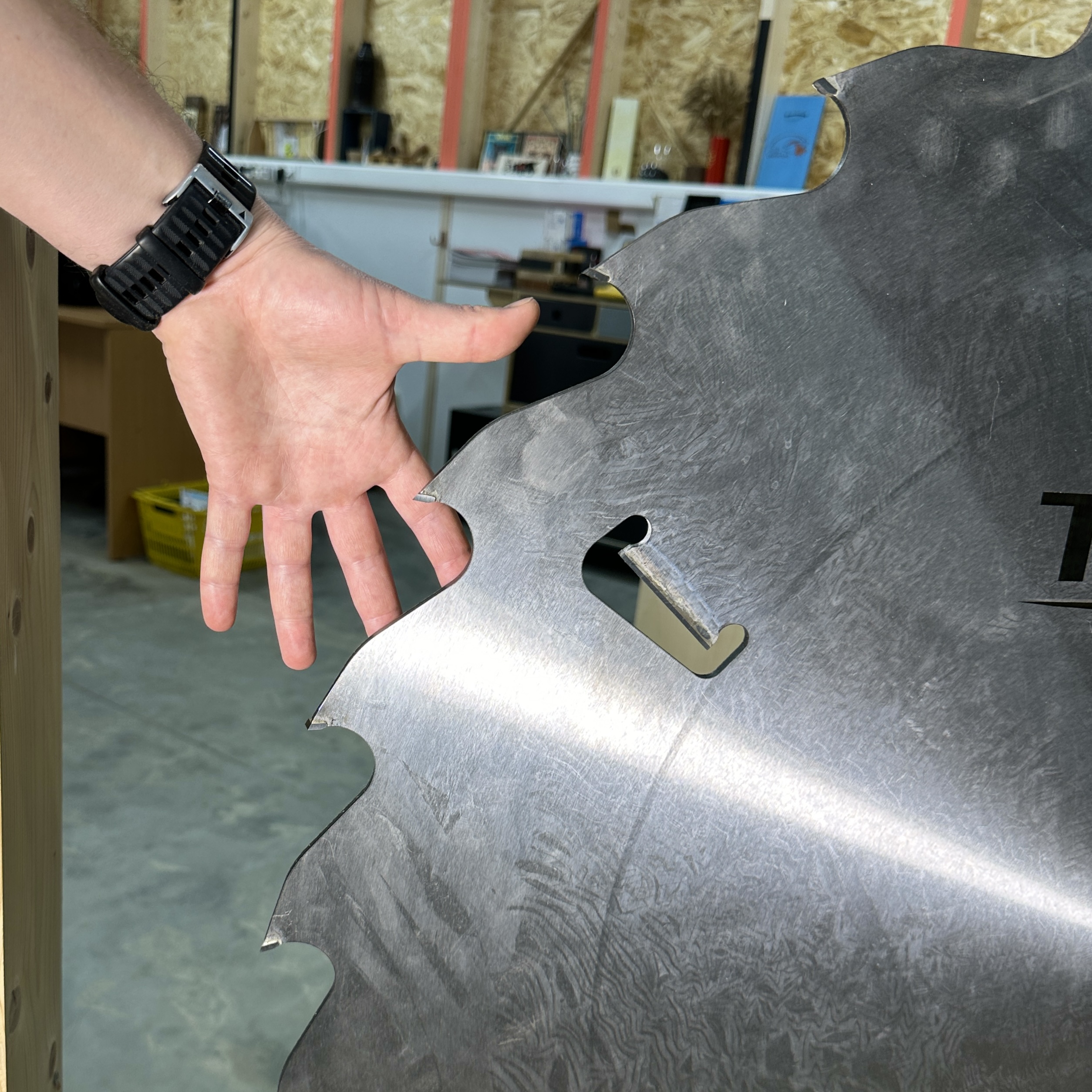 Диск для пилорамы Trusty-Tools 1000х110 28+6T